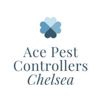 Ace Pest Controllers Chelsea image 1
